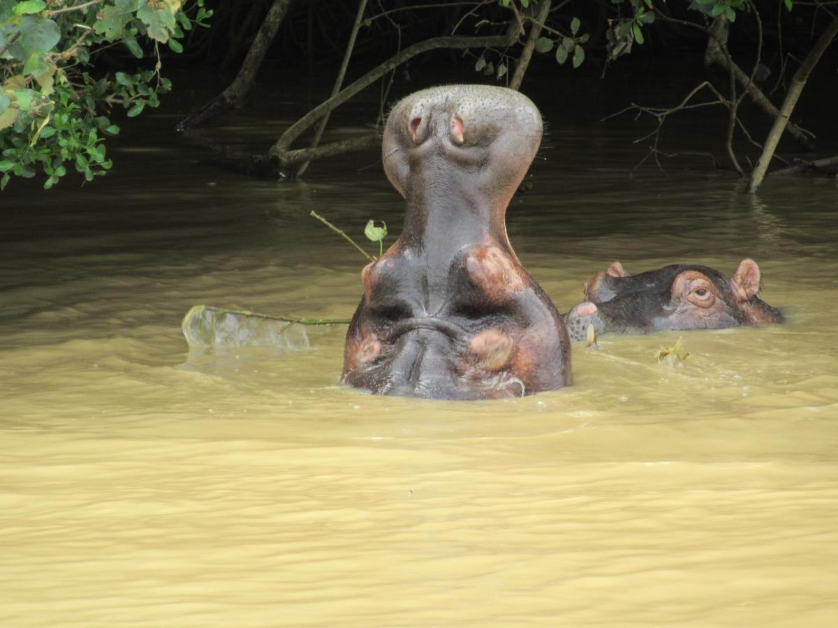 Uitspan Lejlighed Saint Lucia Estuary Eksteriør billede